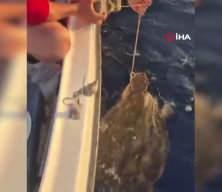 Deniz kaplumbağasının ayağına taş bağlayan vicdansızların yaptığı y&uuml;rekleri sızlattı