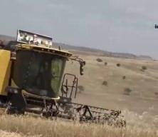 Diyarbakırlı &ccedil;ift&ccedil;inin Gazze duyarlılığı takdir topladı