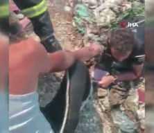 Dumanların arasında kalan itfaiye eri bataklığa d&uuml;şt&uuml;