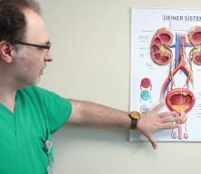 Uzman isim uyardı! İdrarda kan ve yan ağrıyı g&ouml;rmezden gelmeyin
