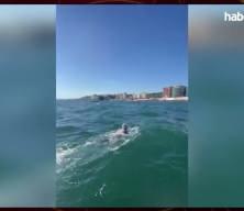Ultra maraton y&uuml;z&uuml;c&uuml;s&uuml; Eda Savcıgil'den İtalya'da "tarihi" birincilik