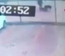 4 yaşındaki Asiye ağır yaralanmıştı! Mahkeme 2 pitbull cinsi k&ouml;peği "silah" saydı