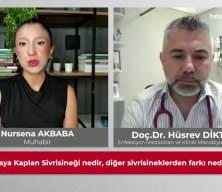Asya Kaplan Sivrisineği vakaları endişeye yol a&ccedil;tı: Alerjik b&uuml;nyeye sahipseniz dikkat!