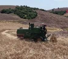 Karakıl&ccedil;ık buğdayı Kozan&rsquo;da yeniden yayılıyor