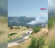 Bursa'da orman yangını