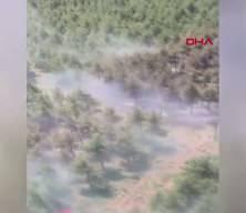 Bursa'da orman yangını