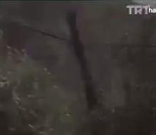 MHP, Başbağlar şehitlerini andı