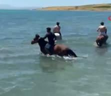 Sıcaktan bunalan gen&ccedil;ler atlarıyla Van G&ouml;l&uuml;'nde serinledi