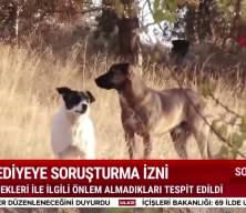 Sokak k&ouml;peği saldırıları sonrası bakanlık harekete ge&ccedil;ti: 2 belediye başkanına soruşturma izni