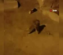 Batman'da g&uuml;l&uuml;mseten kavga: 'Splinter ustalar' kapıştı, o anlar kamerada