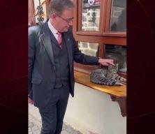 Bel&ccedil;ika Başbakanı De Wever'den g&uuml;l&uuml;mseten kedi paylaşımı: "Dost&ccedil;a bir T&uuml;rk kedisi"