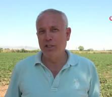 Karpuz &uuml;reticisinden isyan: "20 milyon lira zarar ettim"