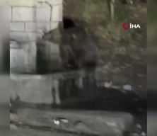 Kızılcahamam'da &ccedil;eşmeden su i&ccedil;en ayının komik anları