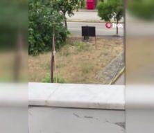 Kocaeli'de yeğen dehşeti: Tartıştığı amcasını palayla &ouml;ld&uuml;rd&uuml;!