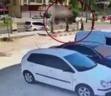 Zırhlı ara&ccedil; takla attı; 2 polis yaralandı