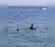Şark&ouml;y'de denize girenlerin arasına yavru yunus daldı: Eğlenceli anlar kamerada