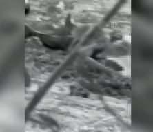 Batman&rsquo;da mezarlıkta silahlı saldırı: 3 &ouml;l&uuml;, 2 yaralı