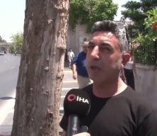 Beşiktaş&rsquo;ta asırlık &ccedil;ınar ağa&ccedil;ları bakımsız kaldı: B&ouml;lgenin simgesi ağa&ccedil;lar kurudu
