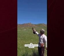 Hedefini şaşıran kaya kartalı k&ouml;peği avlamak istedi