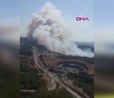 &Ccedil;anakkale'de orman yangını