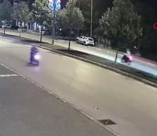 D&uuml;zce'de yola atlayan danaya motosiklet &ccedil;arptI