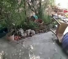Mersin'de ortopedik engelli yaşlı adamı darbeden kasklı saldırgan tutuklandı