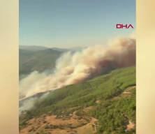 Muğla'da orman yangını kabusu