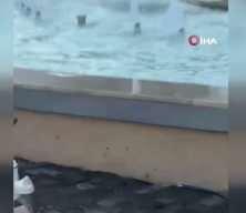 Bolu'da &ouml;l&uuml;me meydan okuyan serinlik! Elektrik tehlikesine rağmen suya atladılar