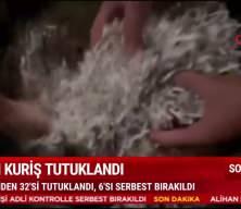 Alihan Kuriş soruşturmasında sıcak gelişme: Alihan Kuriş tutuklandı!