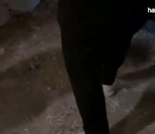 Alihan Kuriş Su&ccedil; &Ouml;rg&uuml;t&uuml; soruşturması! Evraklar imha ediliyor ihbarı!