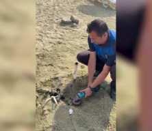 Balıkesir'de sabitlenen şezlong ve şemsiyeler sahilden toplandı
