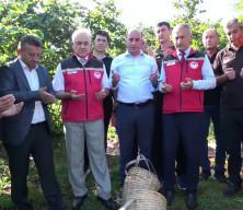 Fındıkta patoz mesaisi başladı: Saatlik &uuml;cret 6 bin TL