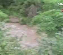 Giresun'da iki kız kardeşin ardından annelerinin de cansız bedenine ulaşıldı