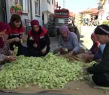 Amasya'nın tescilli sarı altını: Kilosu tam 1400 lira!