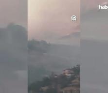 Başkentte ağa&ccedil;lık alanda &ccedil;ıkan yangına m&uuml;dahale ediliyor