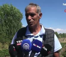 Burada yetişmez demişlerdi: Tonlarca meyve verdi!