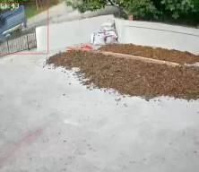 Ordu'da patpat kazası: 1 &ouml;l&uuml;