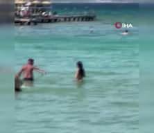 &Ccedil;eşme&rsquo;de denizde g&ouml;r&uuml;len yılan paniğe neden oldu