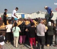 Hatay'da t&uuml;ccarın bi&ccedil;tiği fiyata kafası atan &ccedil;ift&ccedil;iden 50 tonluk hayır