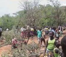Kenya'da ke&ccedil;isini ararken altın buldu!
