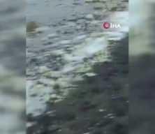 Samsun sahilinde sıcak saatler! Ekipler alarma ge&ccedil;ti