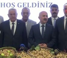Sezonun ilk inciri 850 liradan satıldı