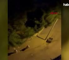 Diyarbakır'da sokak ortasında yumruklu kavga kamerada