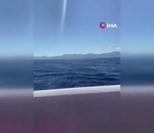 Feribot faciasında gen&ccedil;lerin &ouml;l&uuml;m kalım m&uuml;cadelesi: "Anne &ouml;l&uuml;yoruz, hakkını helal et"