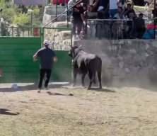 Artvin'de g&uuml;reşten ka&ccedil;an boğa, demir kapıdaki boşluktan arenanın dışına atladı