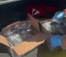 Taksinin bagajını a&ccedil;an ekipler g&ouml;zlerine inanamadı