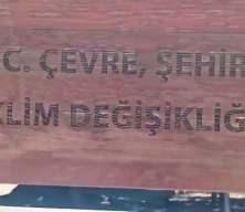 Konya'da 2 bin yıllık anıt ağaca b&uuml;y&uuml;k saygısızlık!