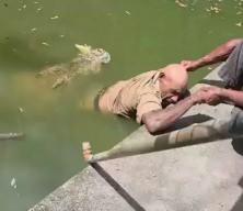 Papua Yeni Gine'de dehşet: Beslediği timsahın kurbanı oldu!