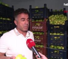 Hasat başladı: Dalında 5 TL, markette 100 TL!