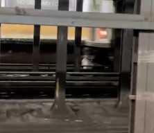 New york metrosunda dehşet anları: Arkadaşını kurtarmak isterken can verdi
